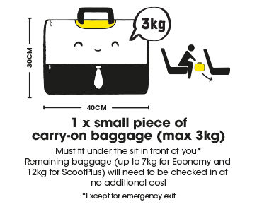 Baggage Allowance Policy Rules,Roasted Whole Chicken Png
