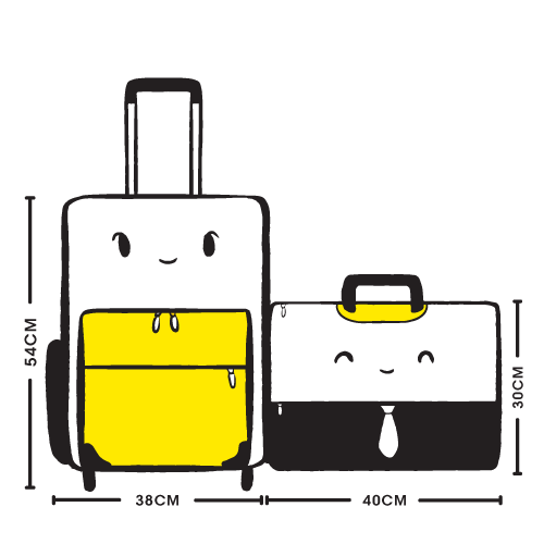 scoot hand baggage limit