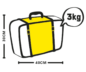 cabin luggage scoot